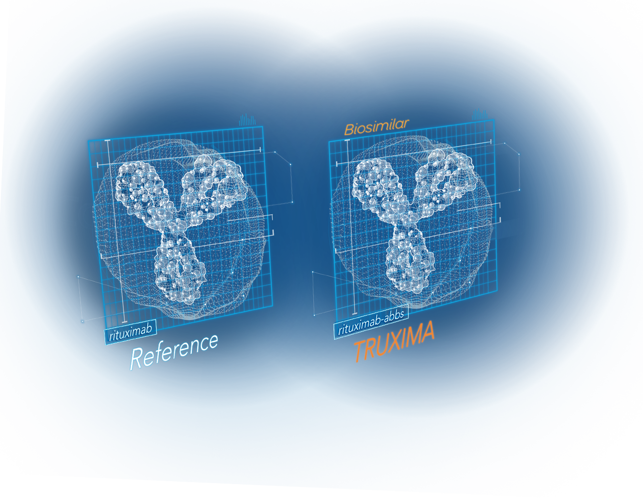 3-D monoclonal antibodies showing biosimilarity between reference product and TRUXIMA